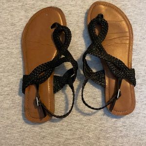 Black Target Sanders